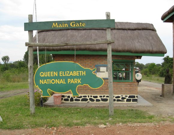 Queen Elizabeth Safari 5 Days