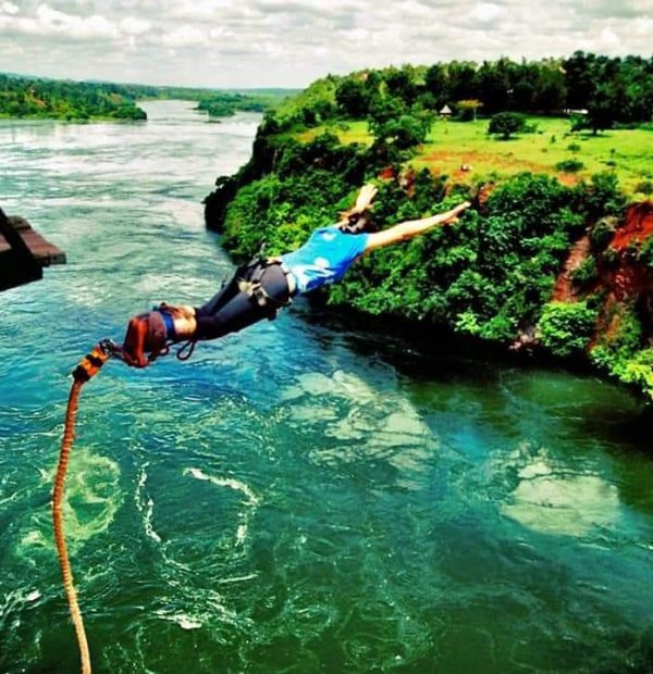 Jinja Zipline & Bungee - Adrenaline Excursion