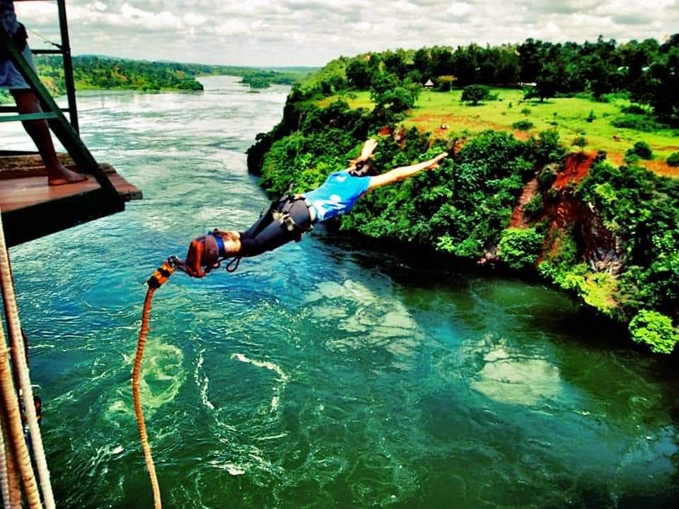 Jinja Zipline & Bungee - Adrenaline Excursion