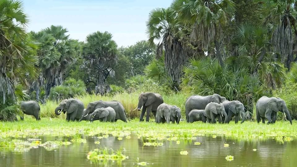 Tanzania